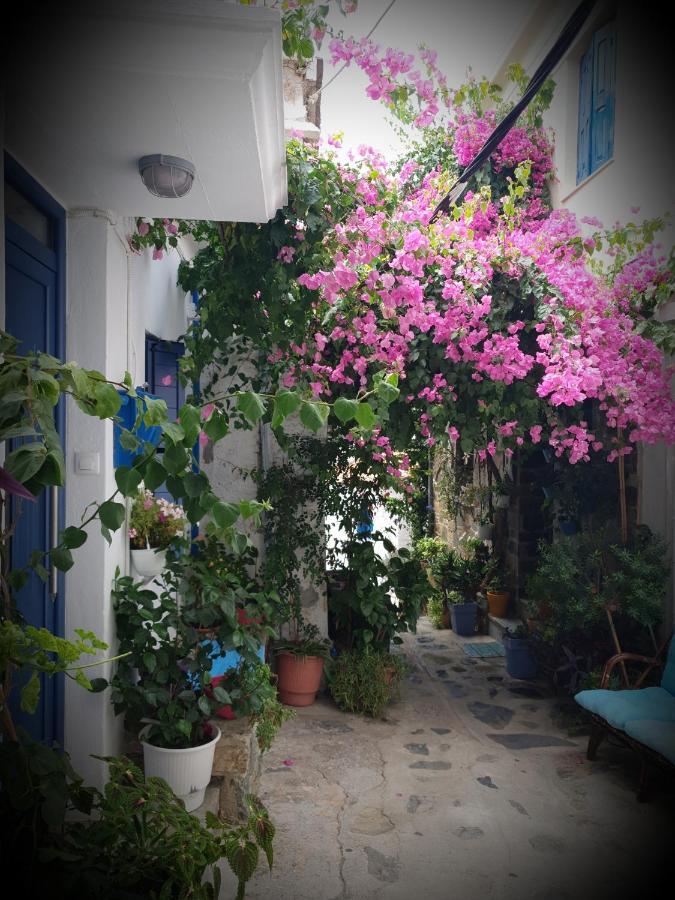 Kastro House Holiday home