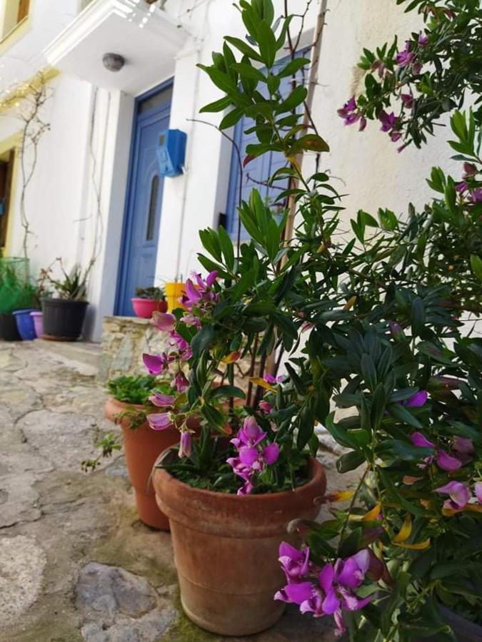 Kastro House Holiday home