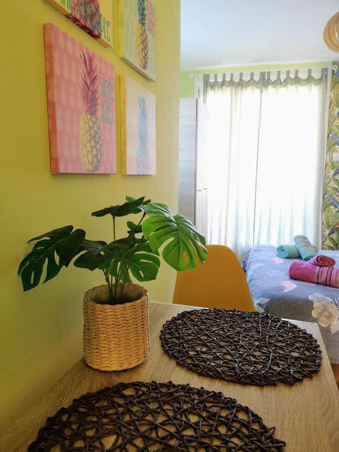Apartment Tropical Loft With View