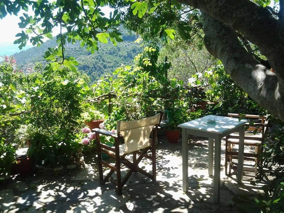 Apartment Panayiota Alonnisos Town