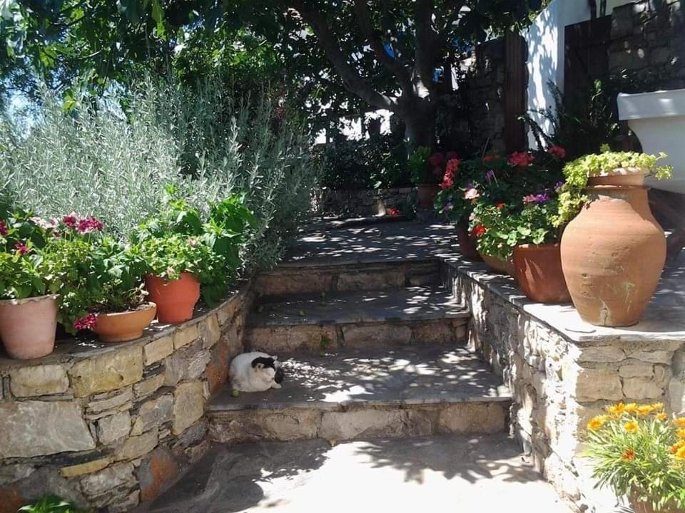 Apartment Panayiota Alonnisos Town