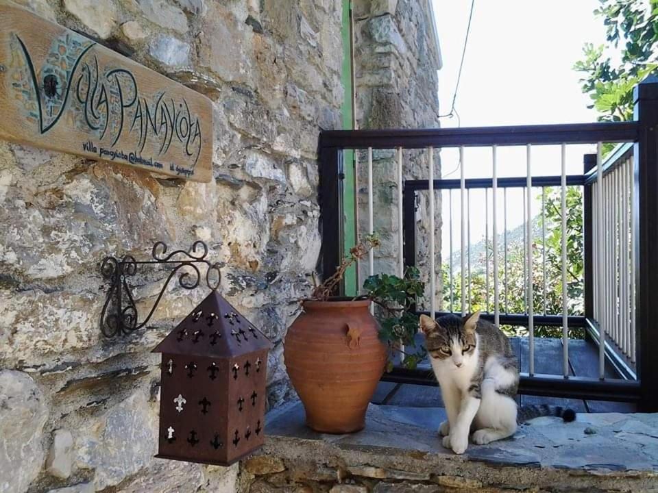 Apartment Panayiota