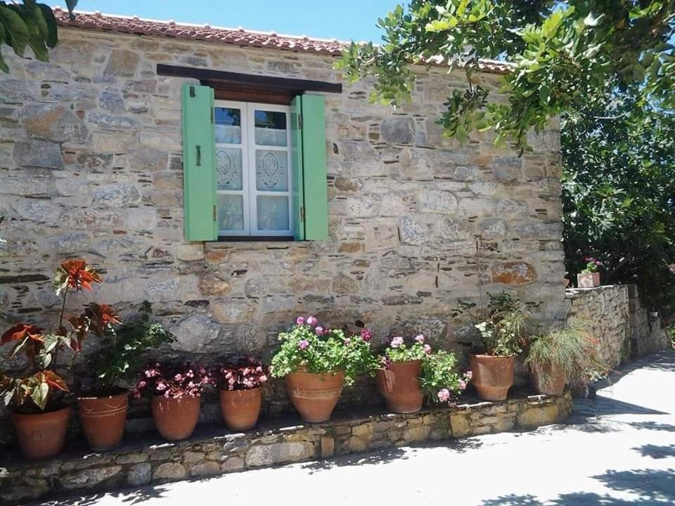Apartment Panayiota *