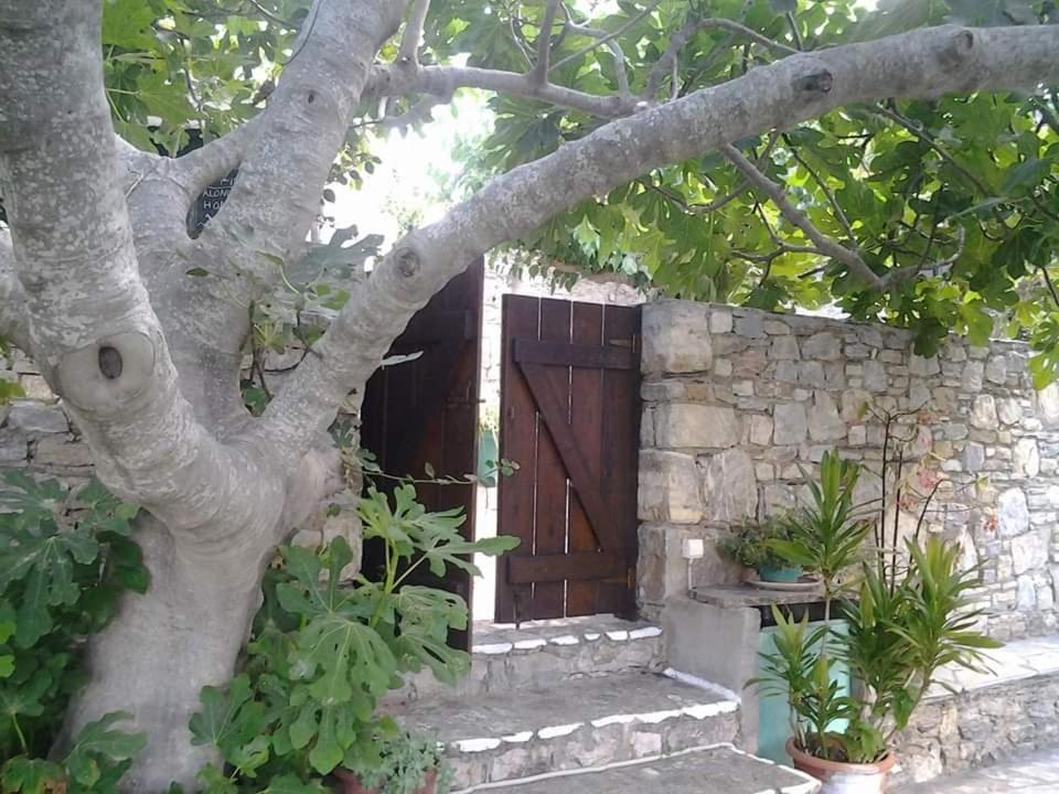 Apartment Panayiota Alonnisos Town