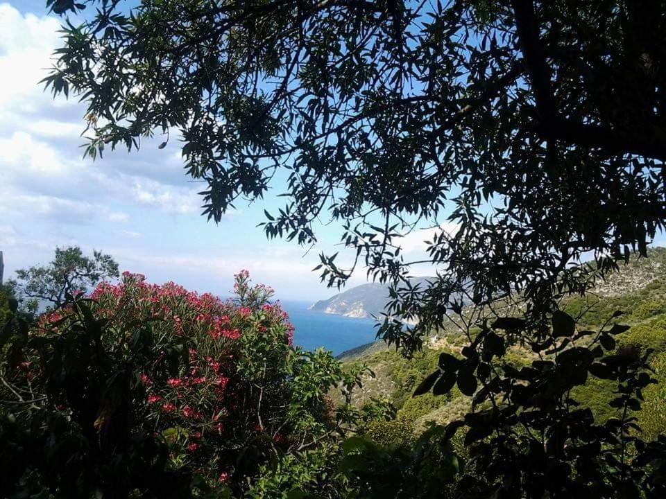 Panayiota Alonnisos Town