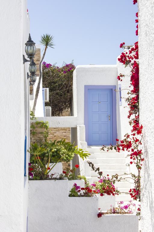Hotel Naxos Holidays