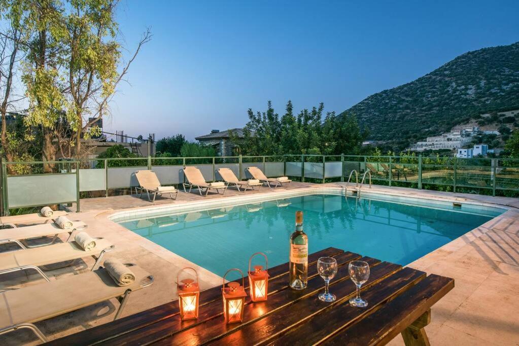 Vlychada - With Private Pool Villa Vlikhadha