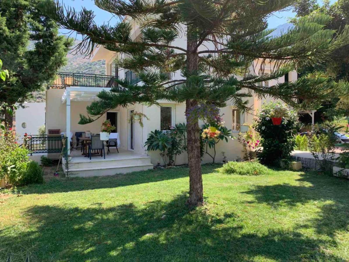 Villa Vlychada - With Private Pool