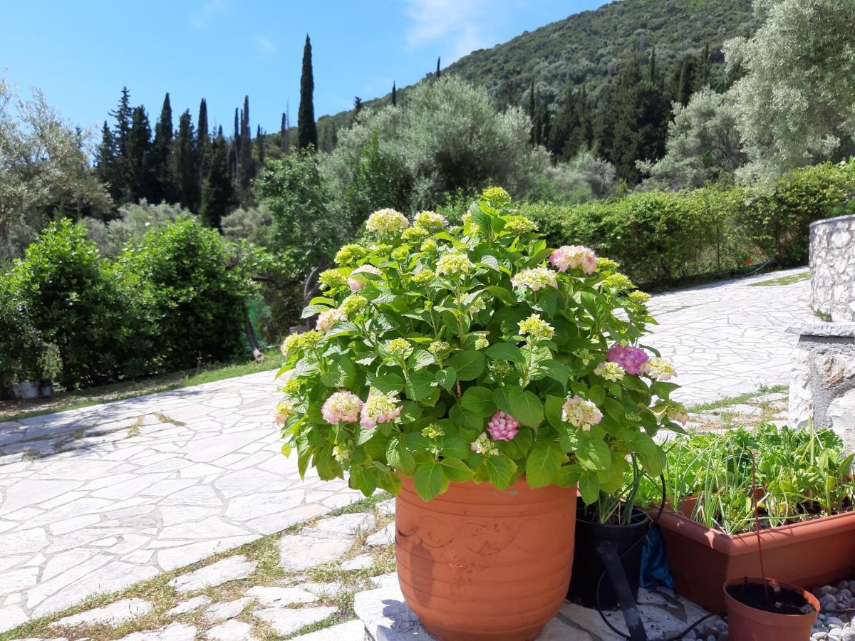 Korakias Seaview Holiday home *