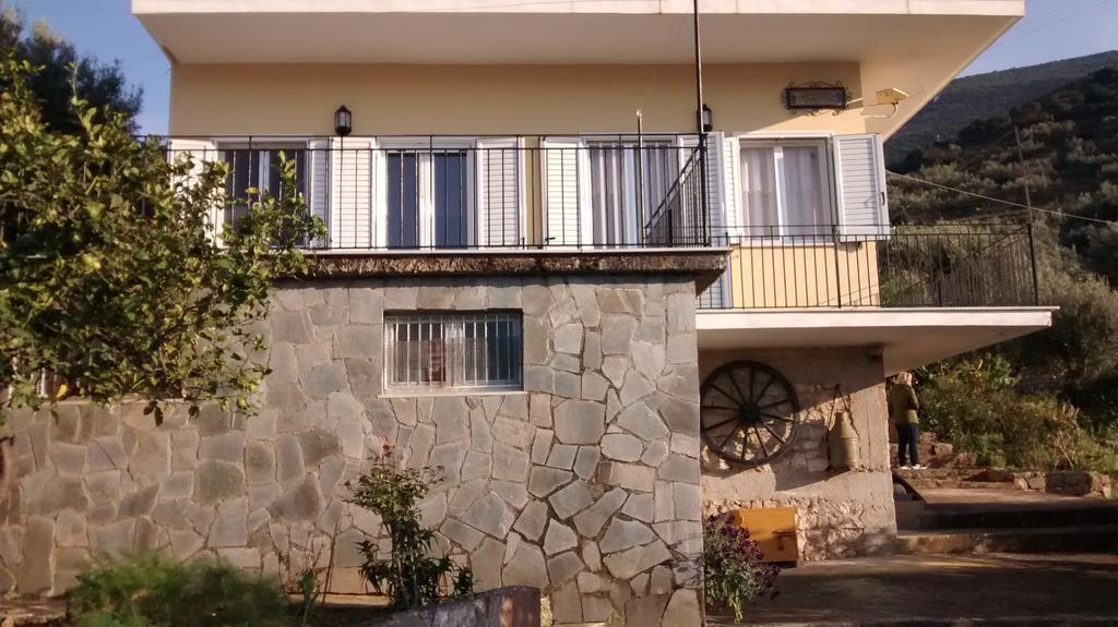 Apartment Olympia House