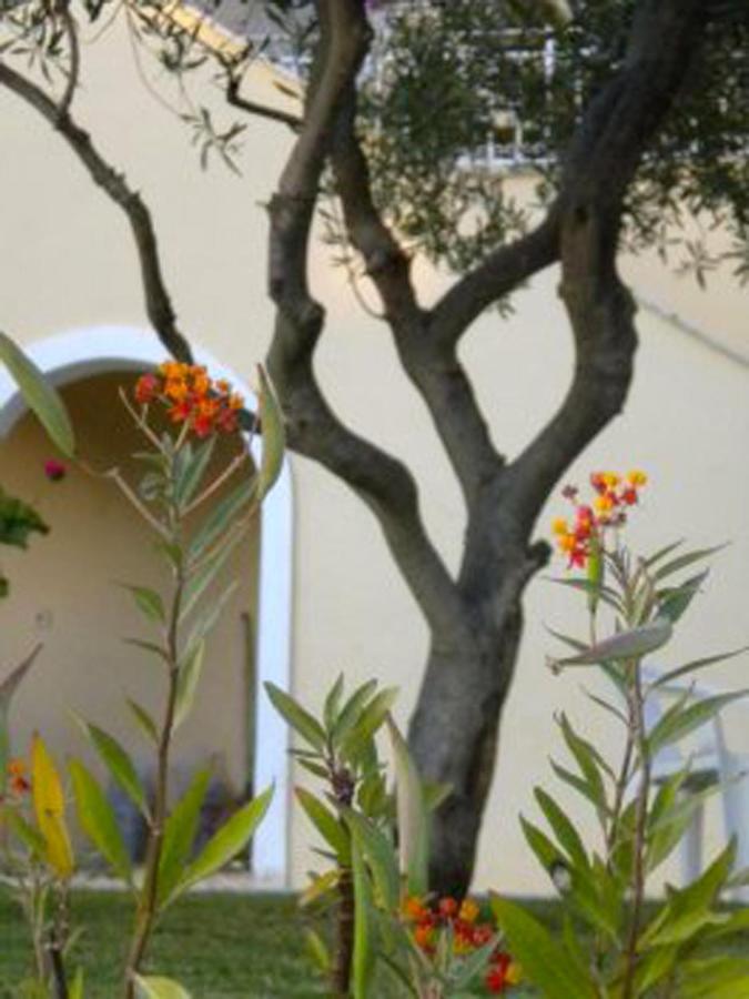 Apartment Natalia A With Panoramic Sea Views Of Agios Gordios Bay *