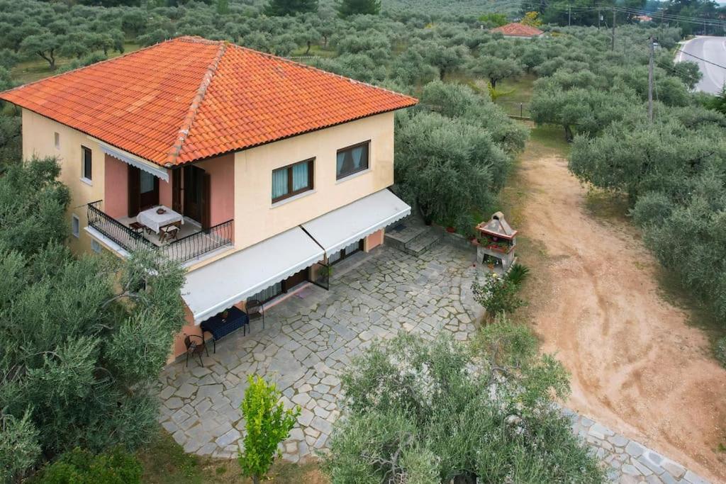Olive's House Holiday home Skala Rachoni (Thasos)