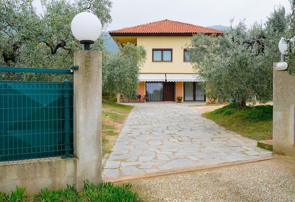 Olive's House Skala Rachoni (Thasos)