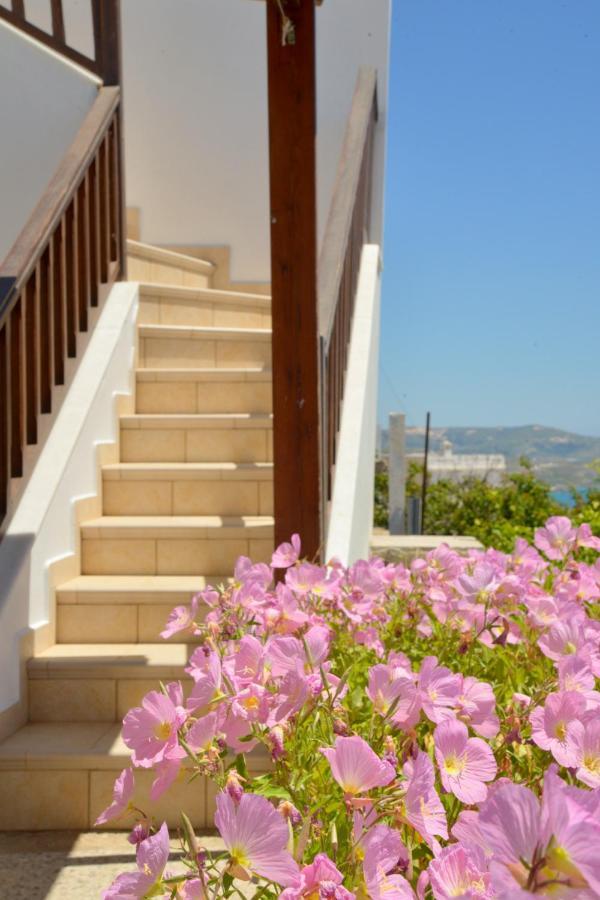 Sea View * Tripiti