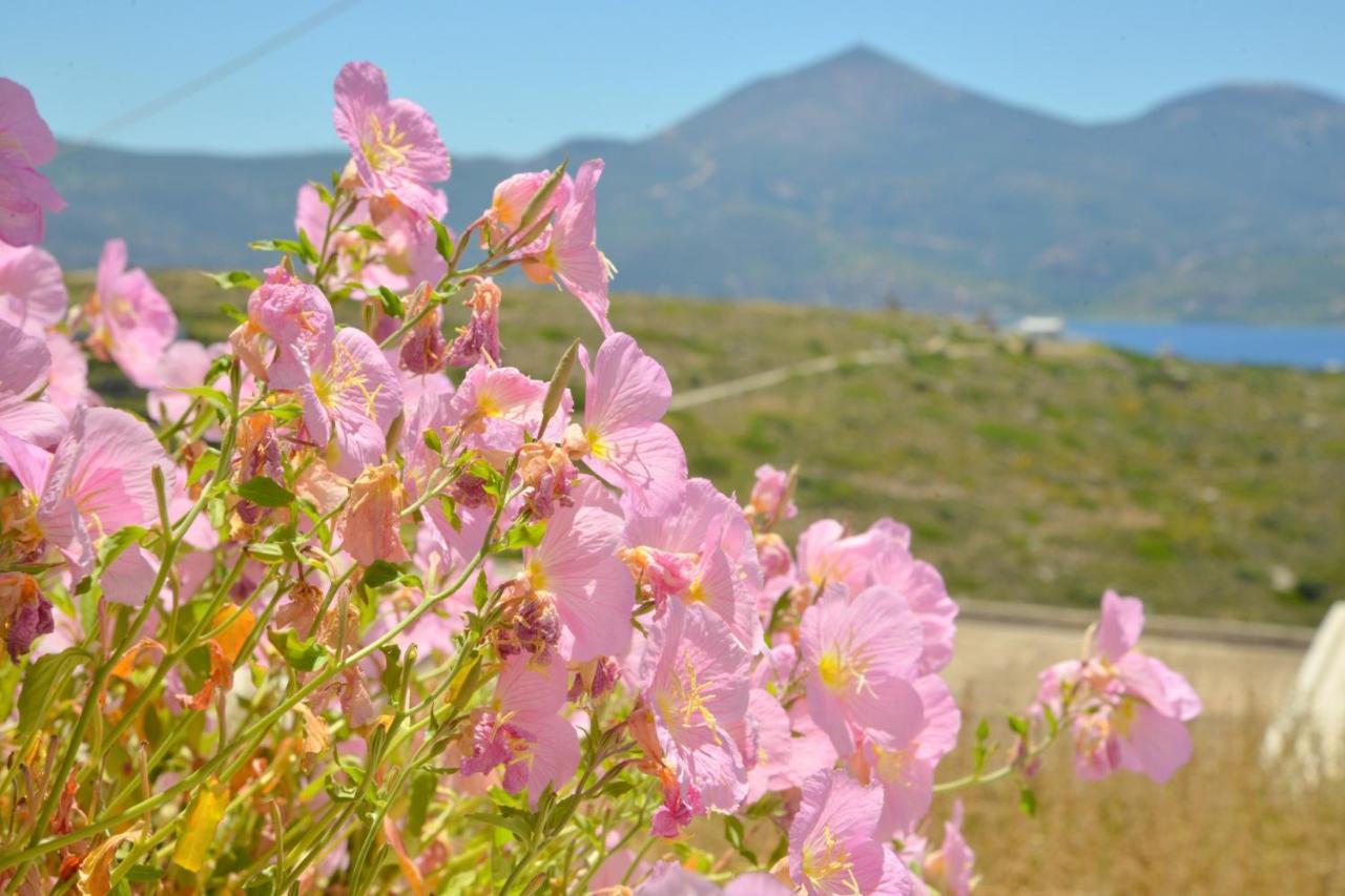 Sea View Tripiti