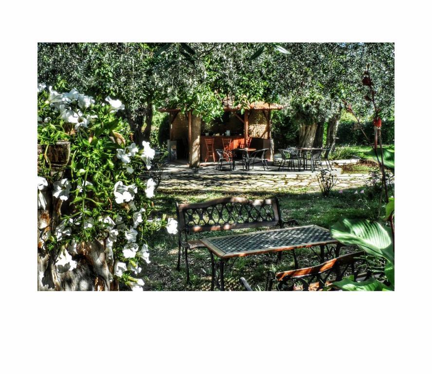 Aneton Aparthotel 2*