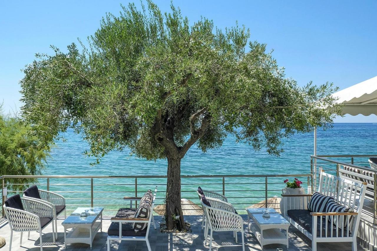 In Elia With A Shared Pool * Kalogria (Sithonia)