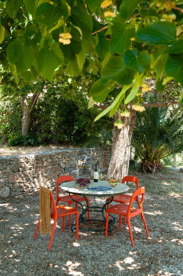 Montofoli Wine Estate * Karystos (Evia)