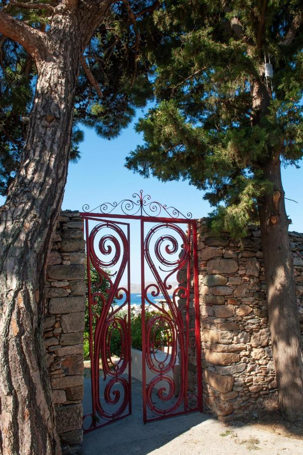 Montofoli Wine Estate *