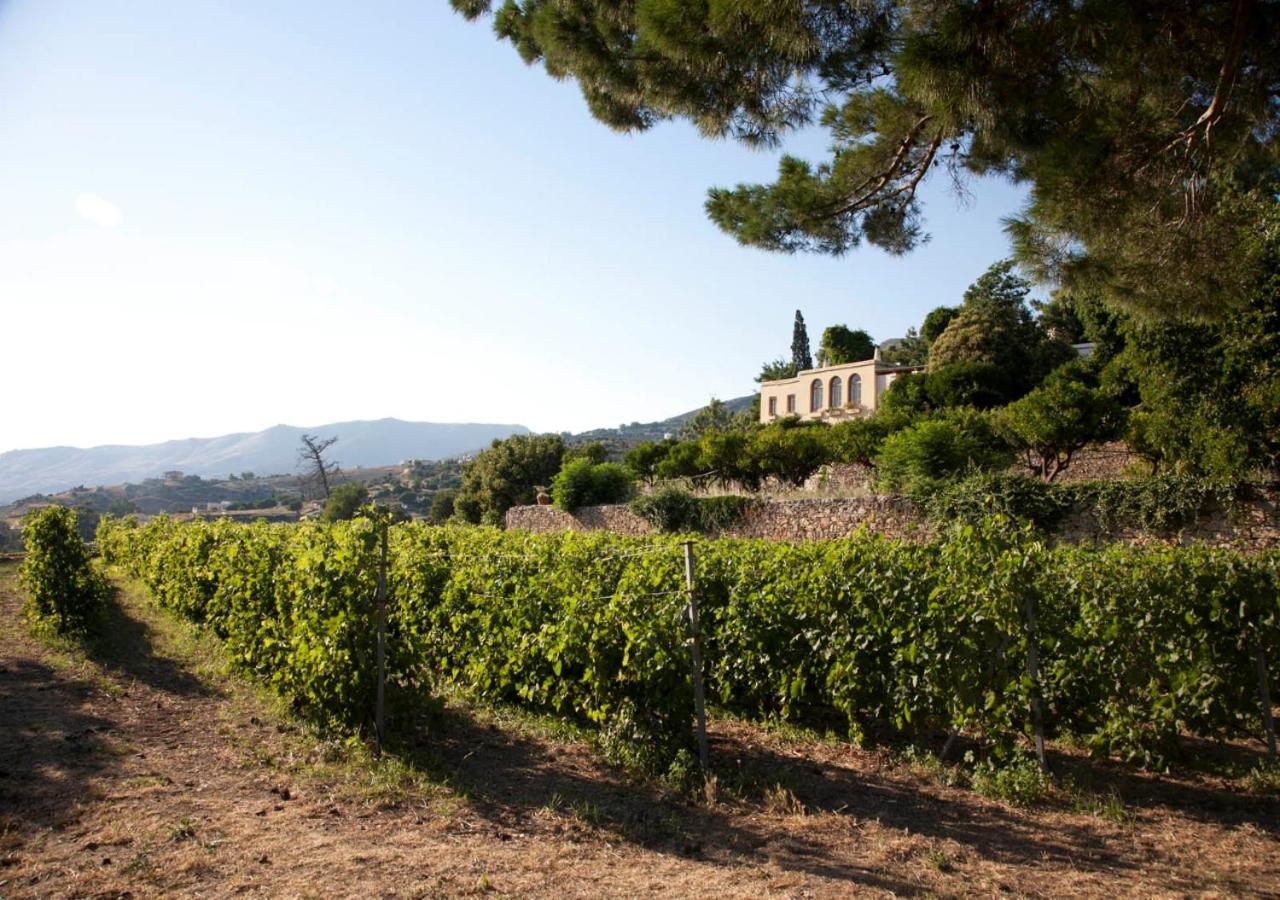 Montofoli Wine Estate Villa *