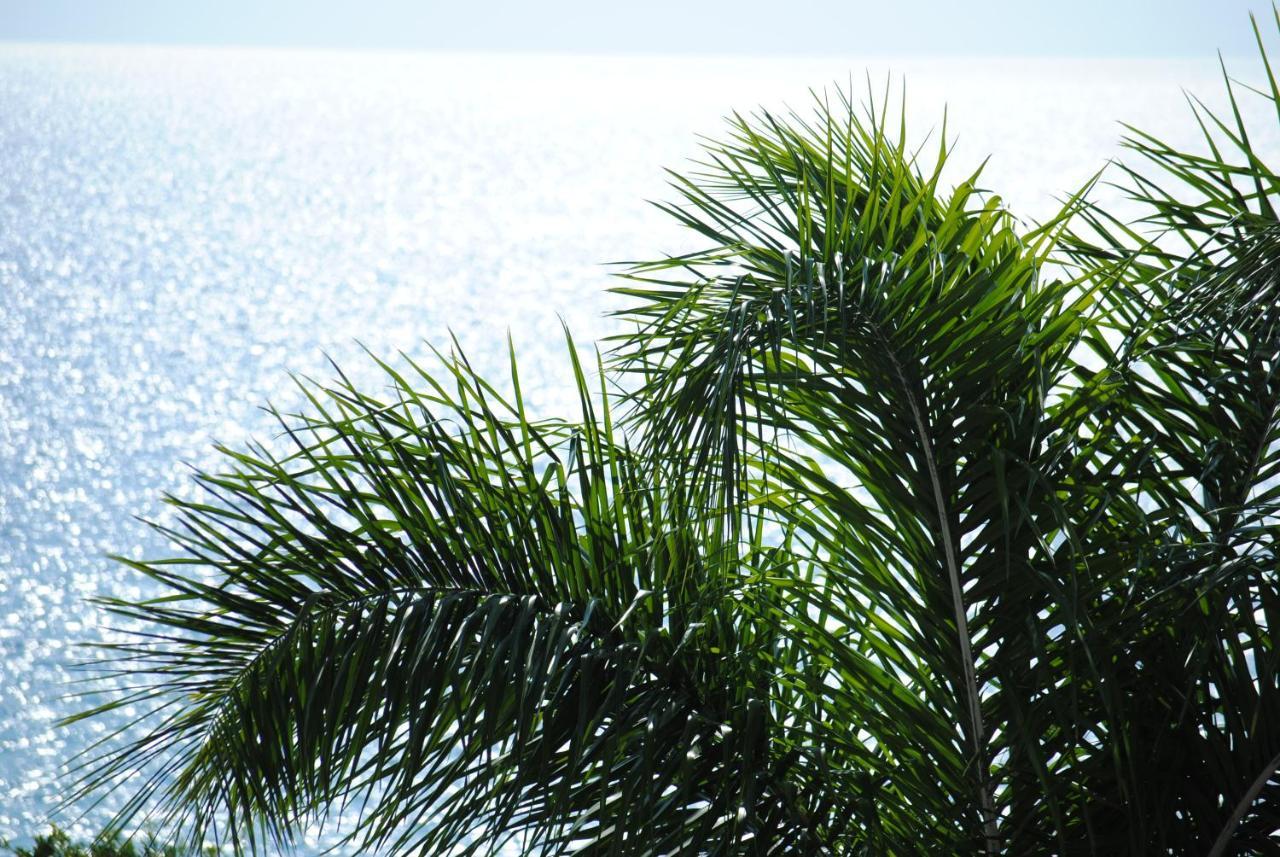 Apartment Stavento Argostoli (Kefalonia)
