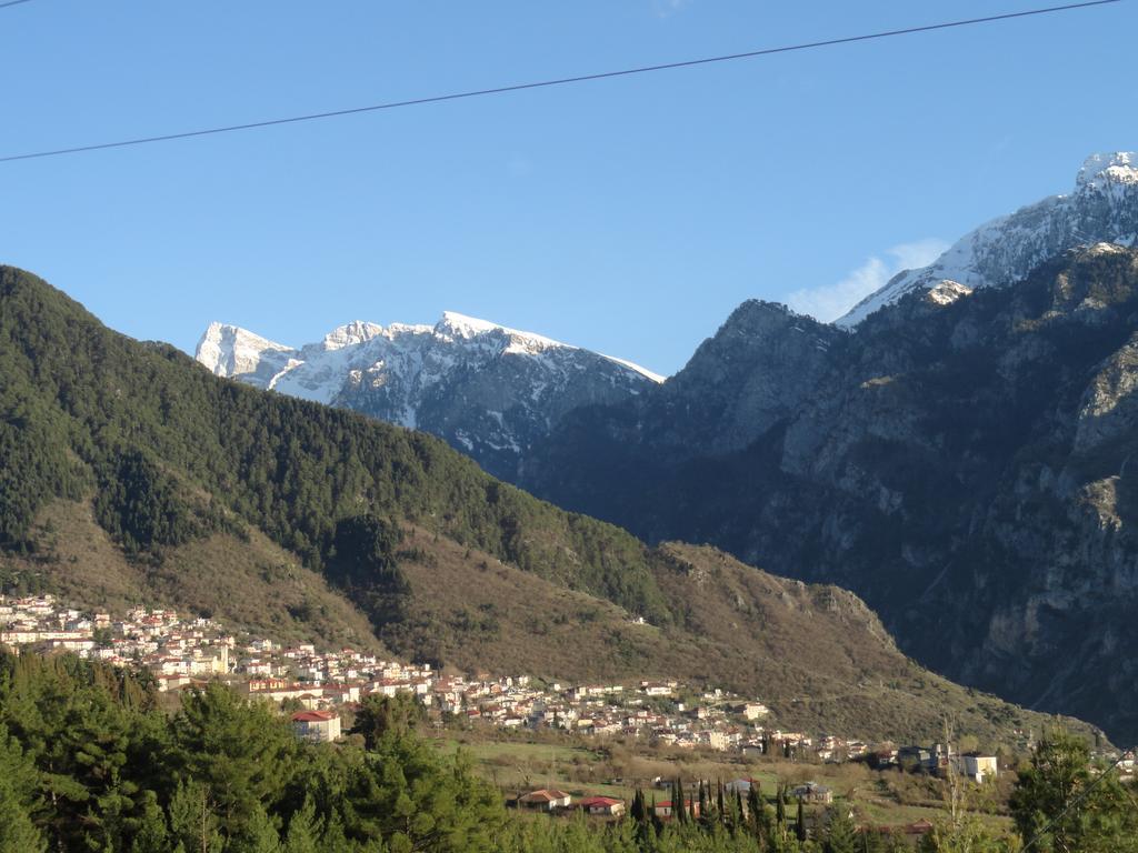Hotel Rodovoli Konitsa