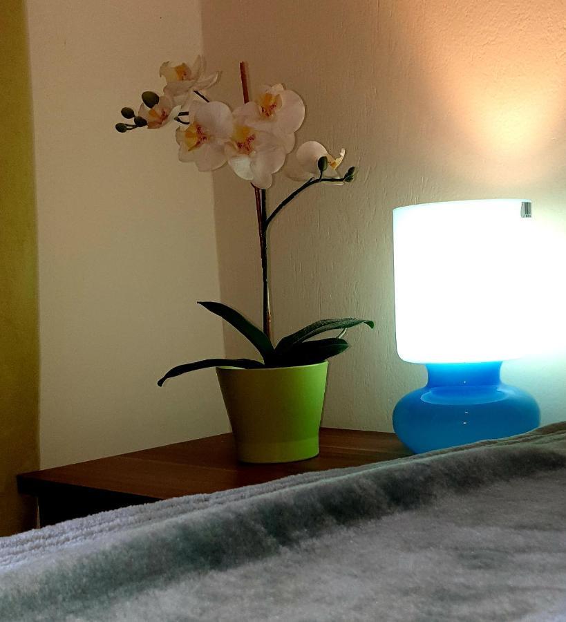 Rent Near Sea In The Center Apartment *