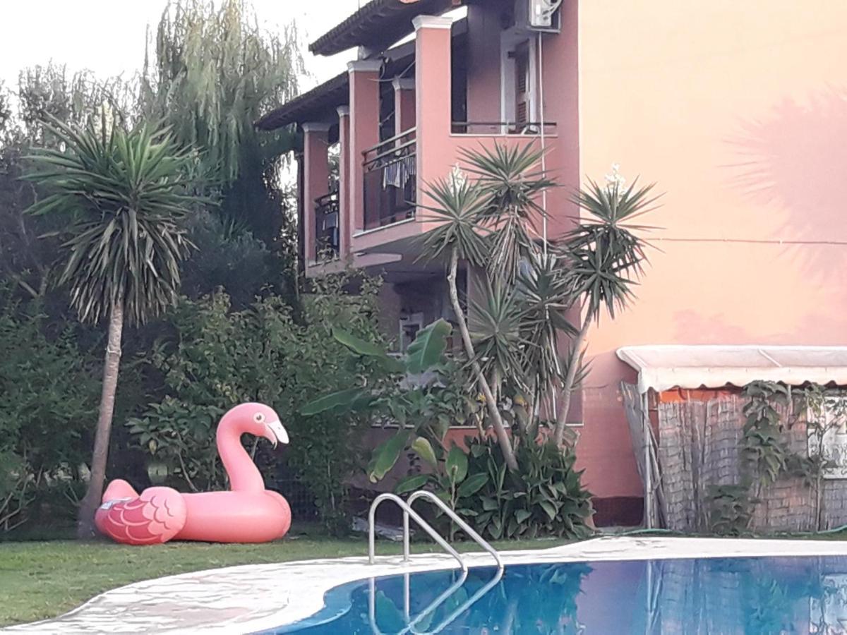 Chrysanthy Apartment Sidari (Corfu)