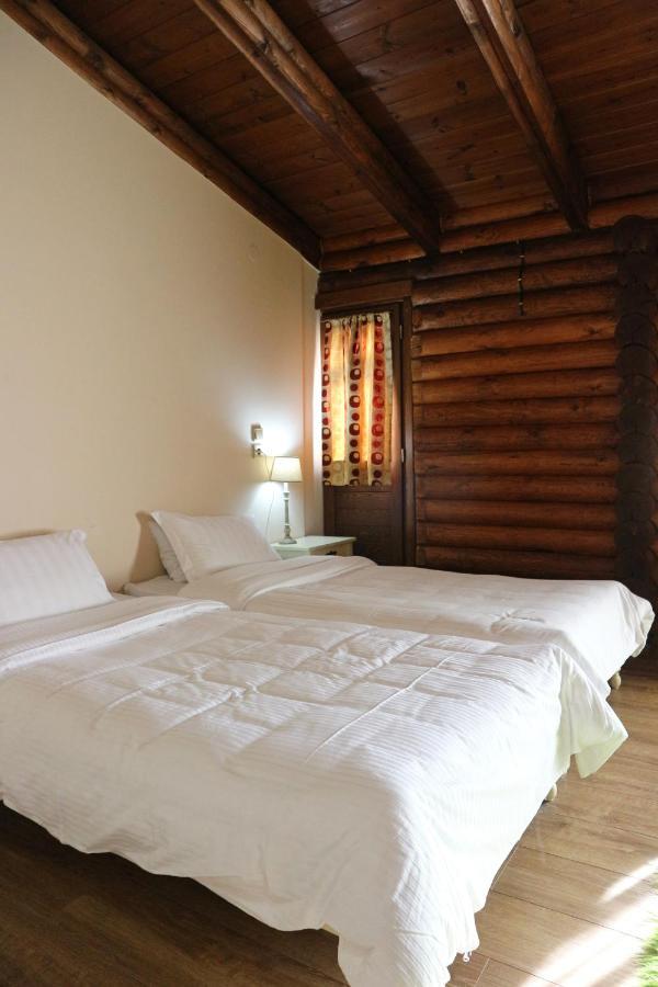 Manthos Mountain & Hotel Chania (Thessaly)
