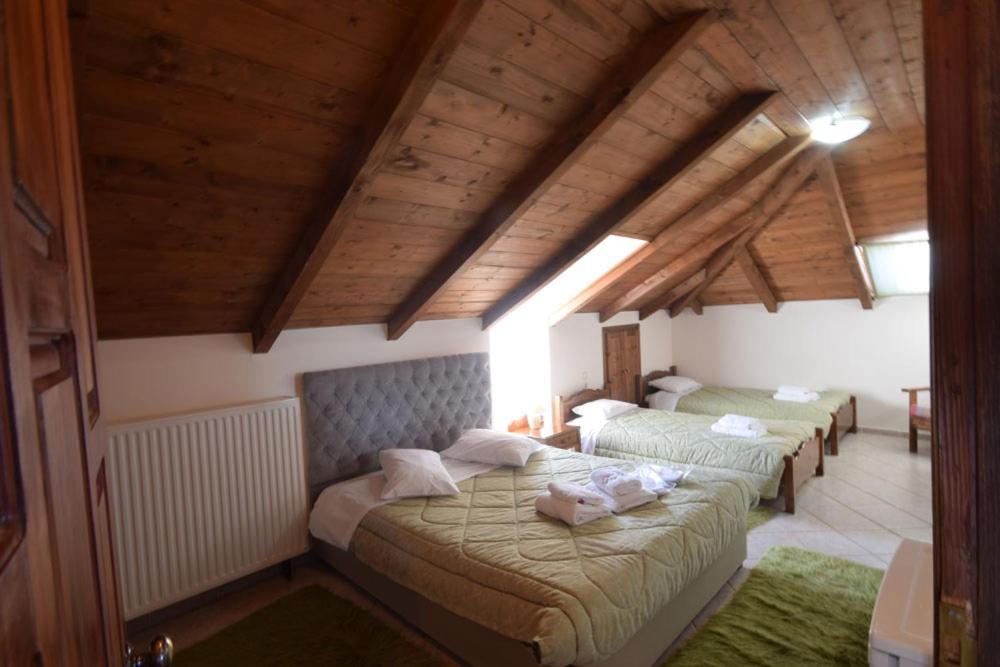 Mountain House Guest house Karpenisi