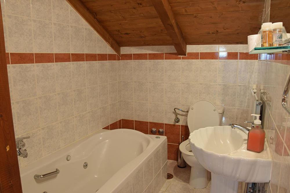Guest house Mountain House Karpenisi