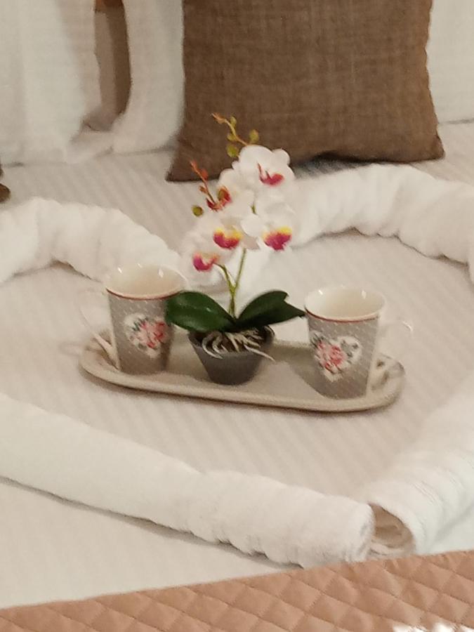 Roses 2 *