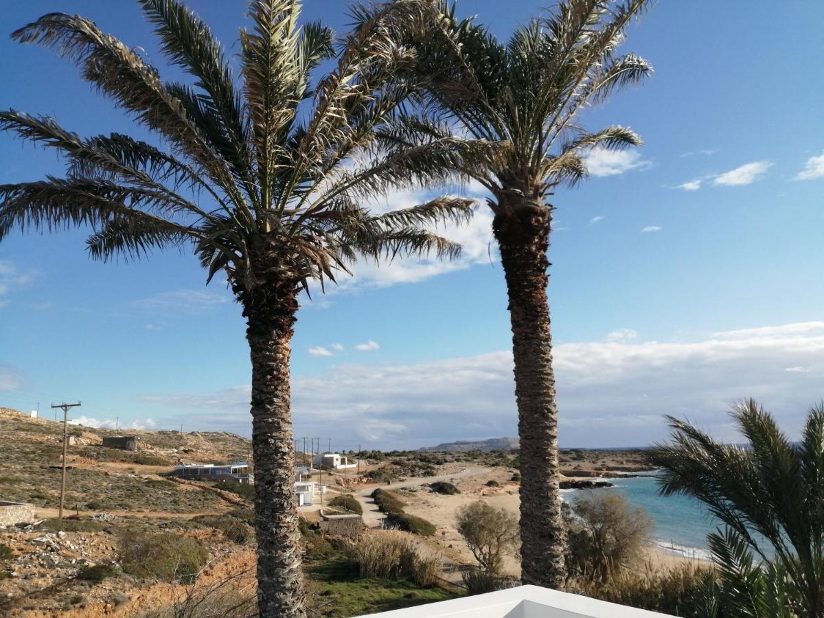 Palmhouses * Afiartis