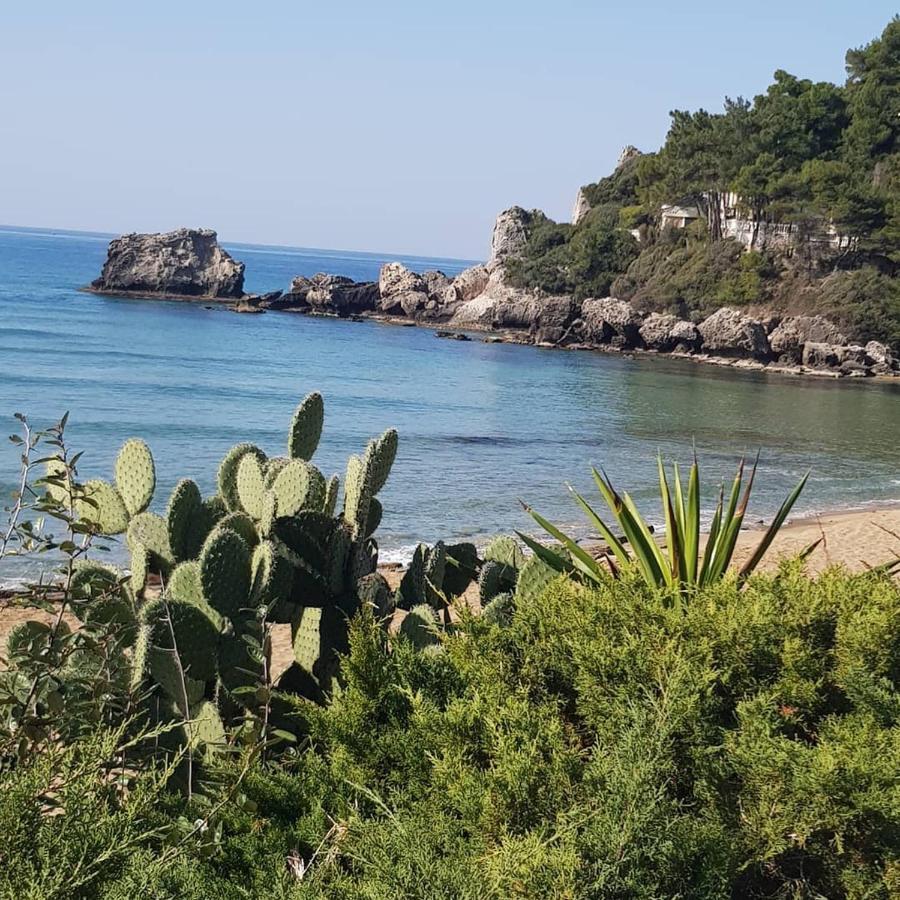 Corfu Dream Holidays Apartment Glyfada (Corfu)