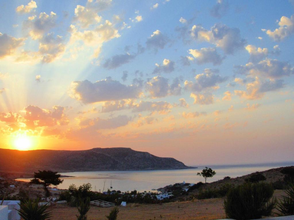 Horizon View * Amoopi