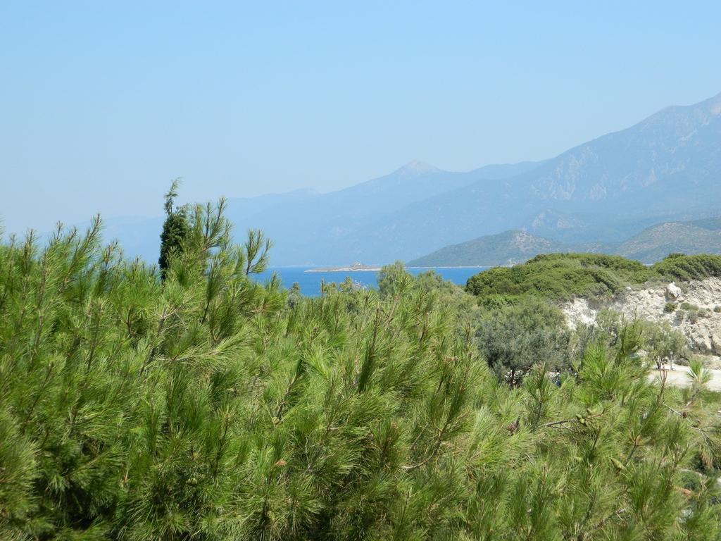 Glicorisa Hotel Pythagoreio (Samos)