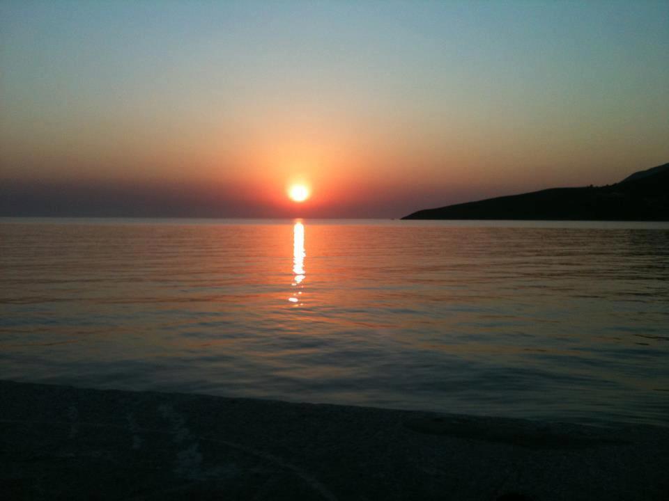 Panayota Kassiopi