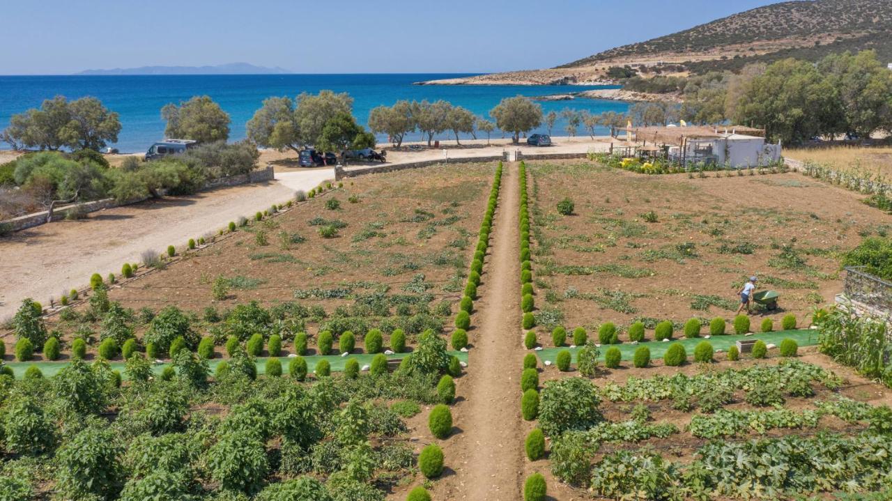 Villa Seaside Ktima Kaparos Paros Drios