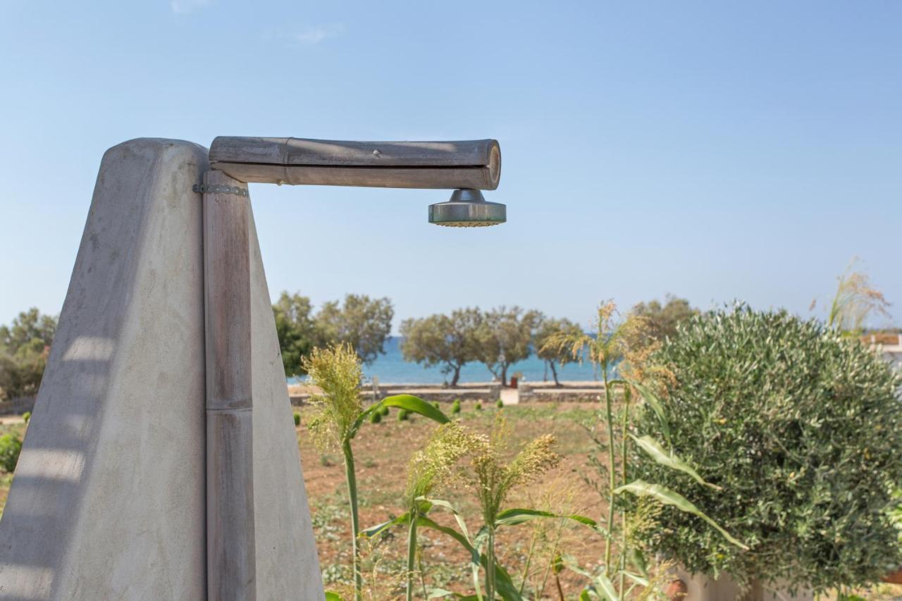 Seaside Ktima Kaparos Paros Villa *