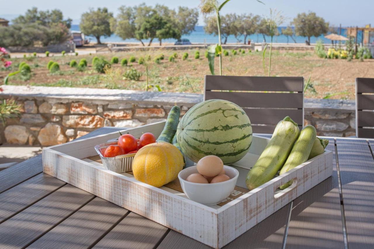 Villa Seaside Ktima Kaparos Paros *