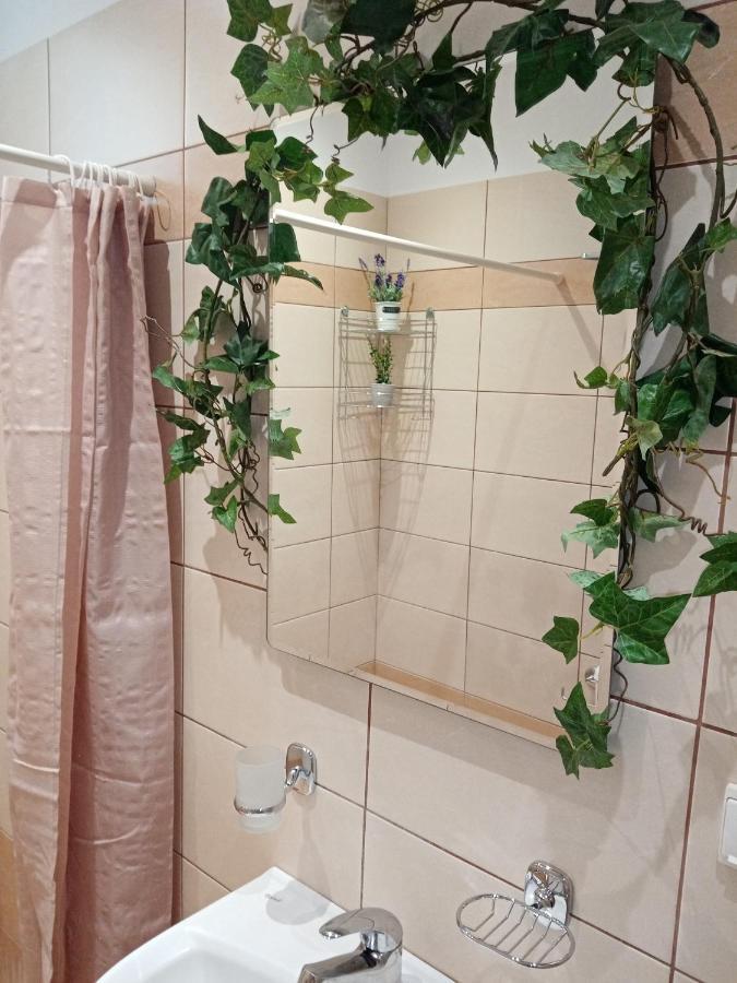 Apartment Roses 2 *