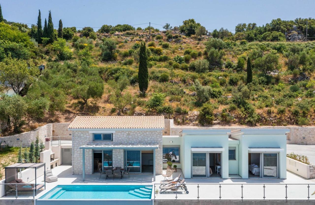 Owl Villa