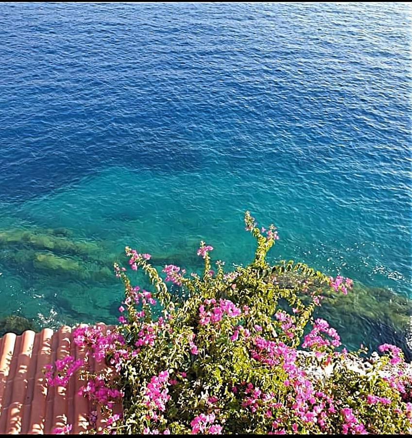 Paradise View