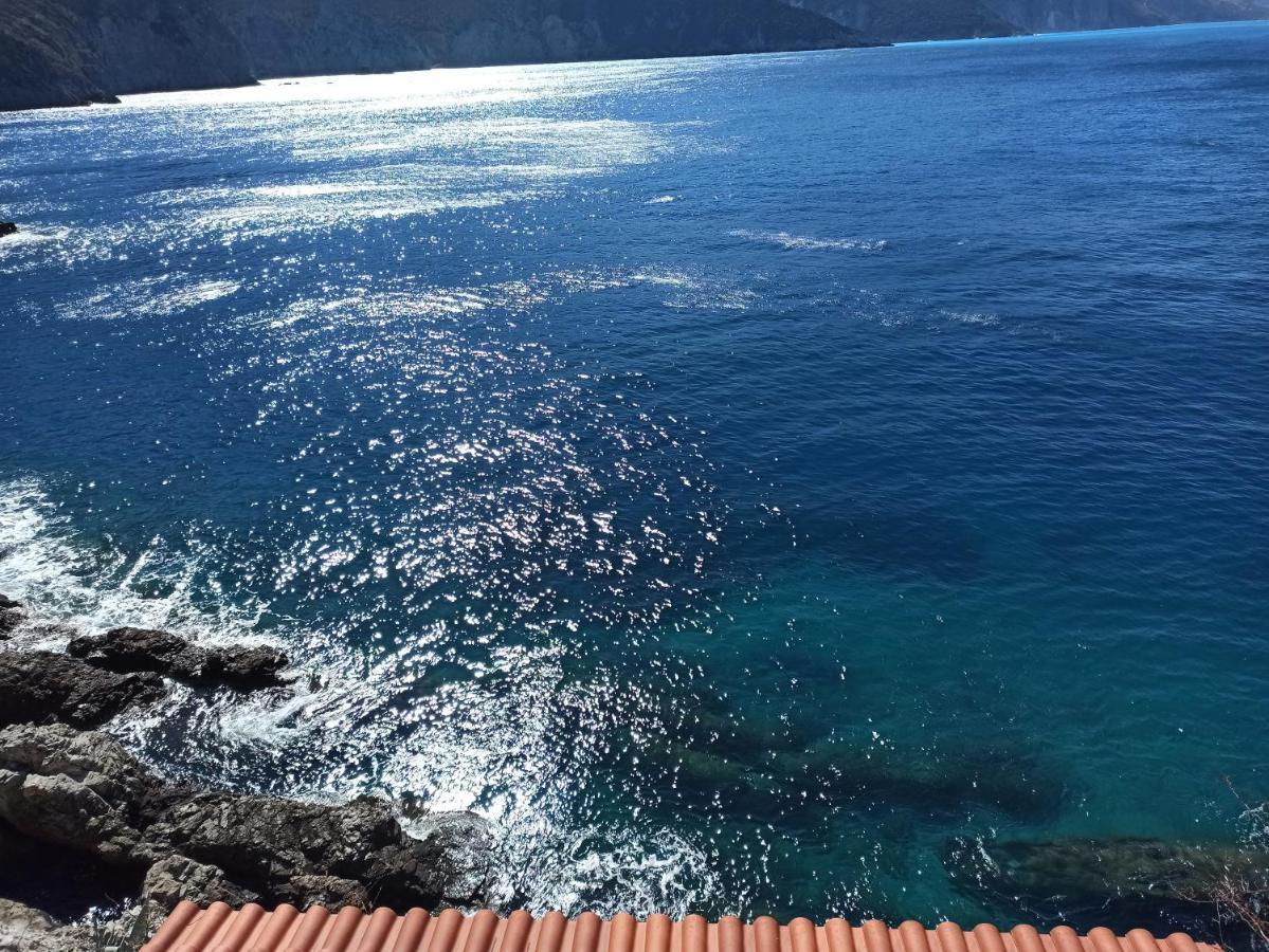 Paradise View *