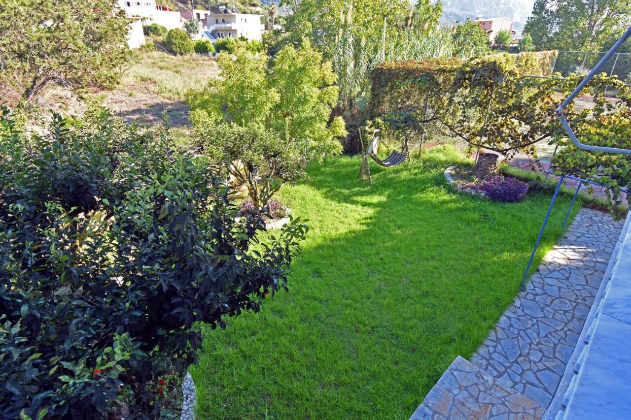Delfini * Agios Georgios Pagon