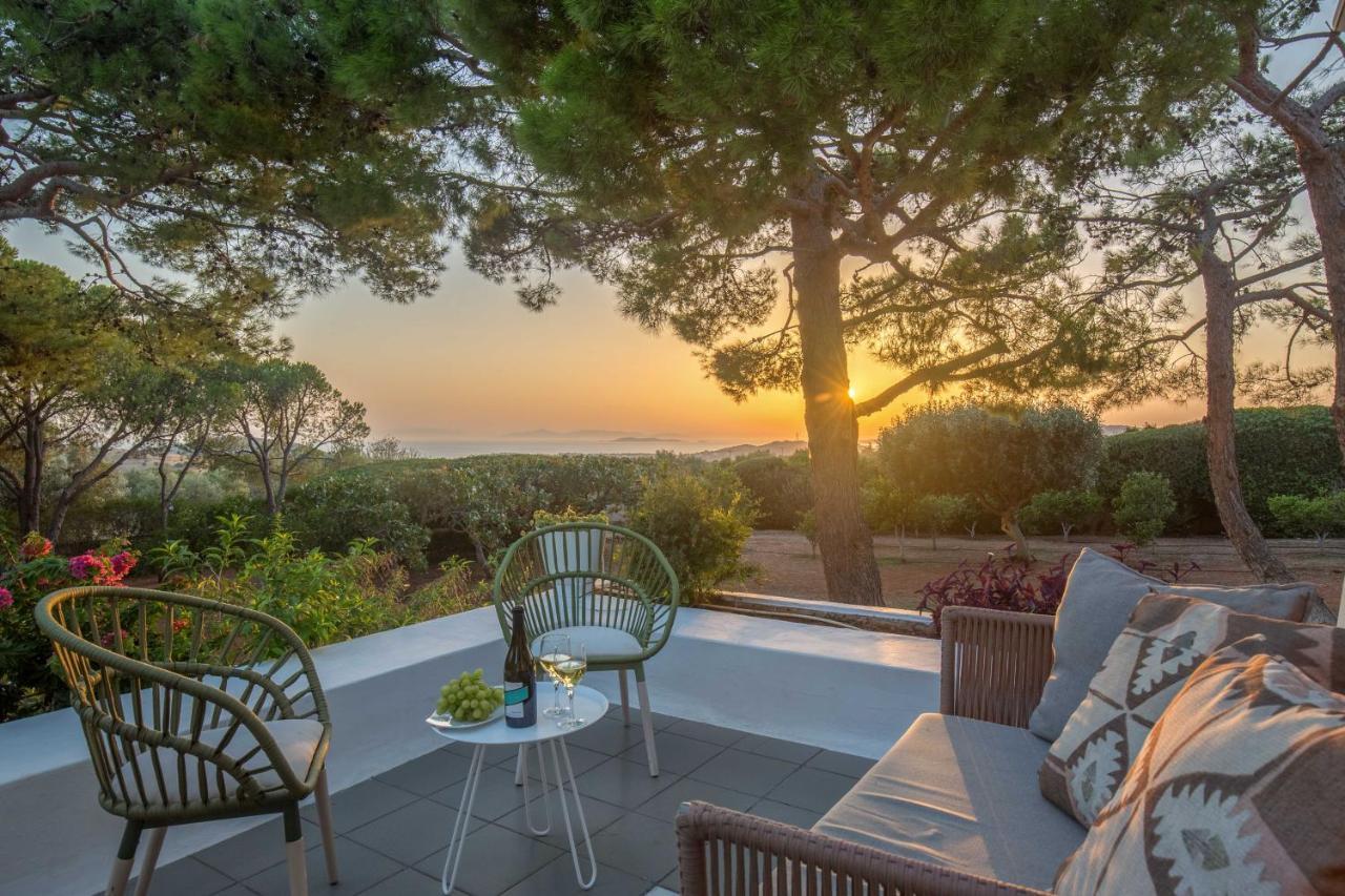 Villa Oasis With Large Pool Athenian Riviera Lagonissi