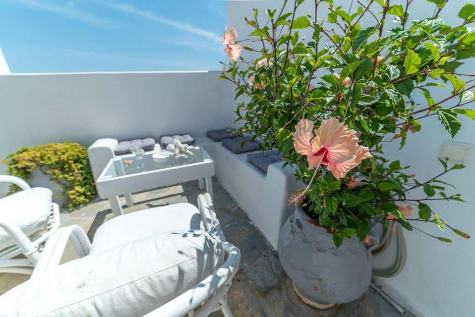Apartment Casa Elea Naousa (Paros)