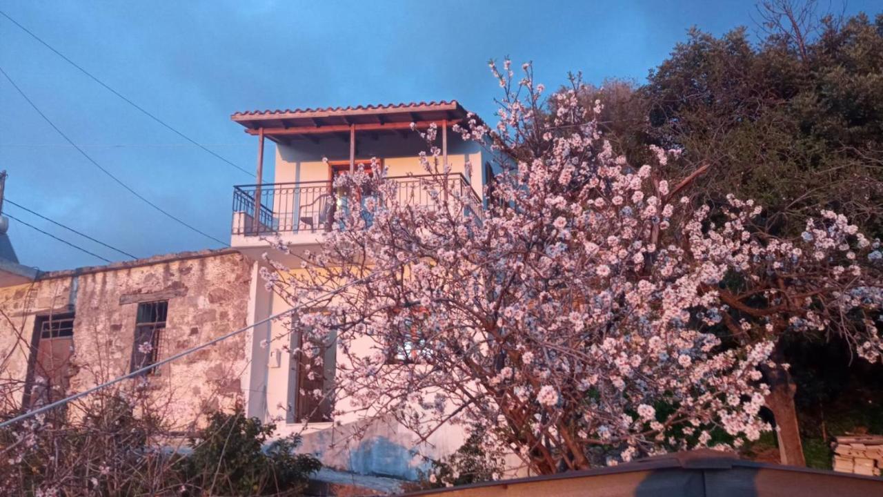 Apartment Stefanis Traditional House - Kampos *