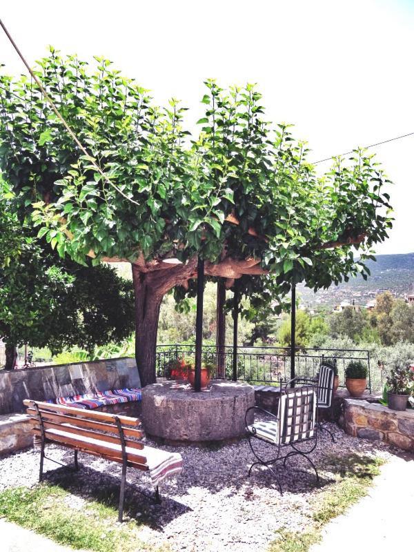 Kastro Aggeliki Kardamyli