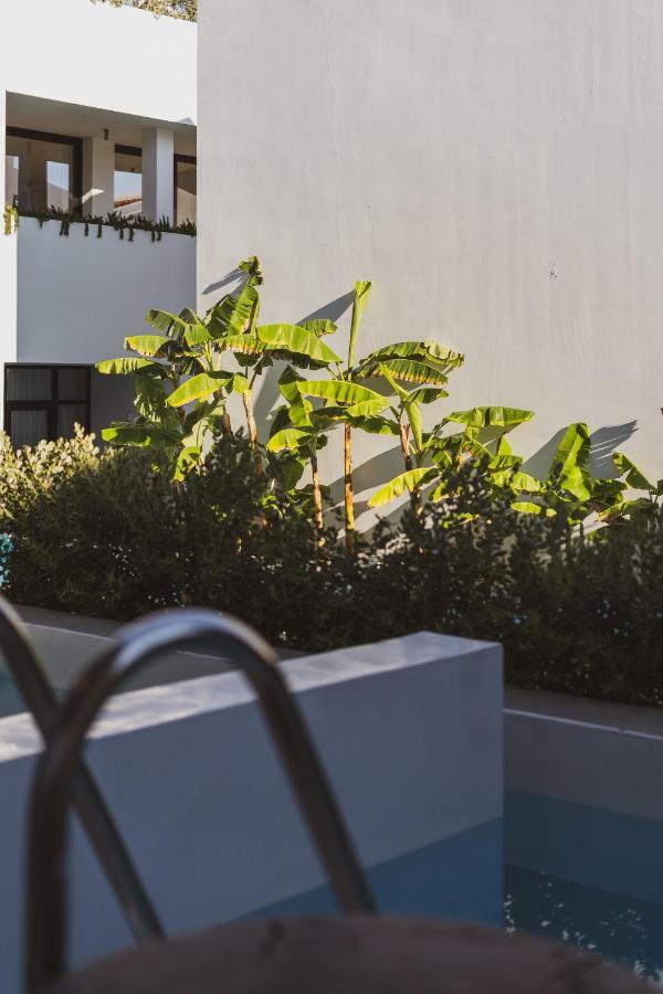Cavo Vezal (adults Only) 4*